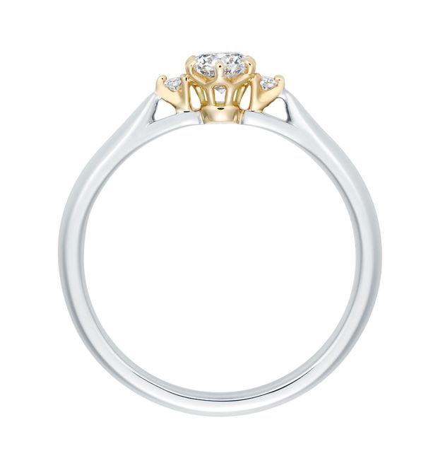 【VENUS TEARS(ヴィーナスティアーズ)】True Beauty（真実の美しさ）｜0.2ct～｜【BYE6332】