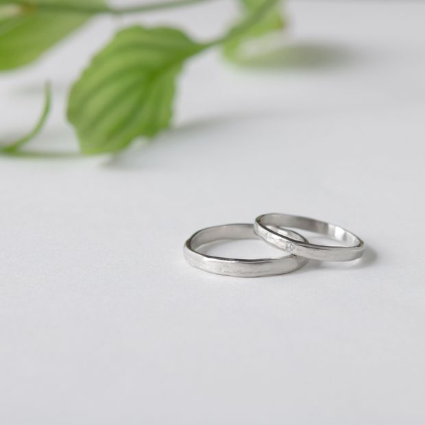 【TROA(トロア)】木漏れ日