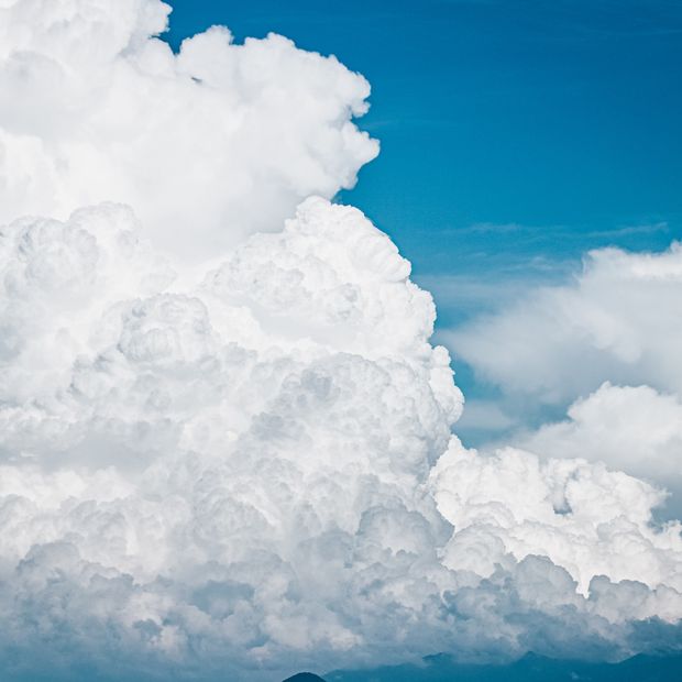 【出雲結(いずもゆい)】- 雲 結 - く も 