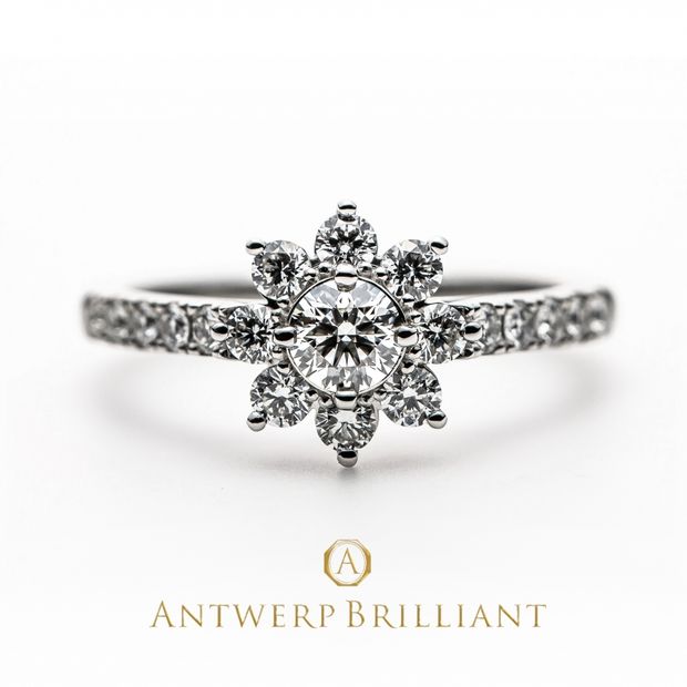 【BRIDGE ANTWERP BRILLIANT GALLERY(ブリッジ・アントワープ・ブリリアント・ギャラリー)】&rdquo;Star Shine&rdquo; Diamond Halo Half Eternity Ring set