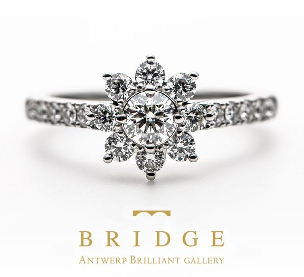 【BRIDGE ANTWERP BRILLIANT GALLERY(ブリッジ・アントワープ・ブリリアント・ギャラリー)】&rdquo;Star Shine&rdquo; Diamond Halo Half Eternity Ring &rdquo;スターシャイン&rdquo; ダイヤモンド ヘイロー ハーフエタニティリング