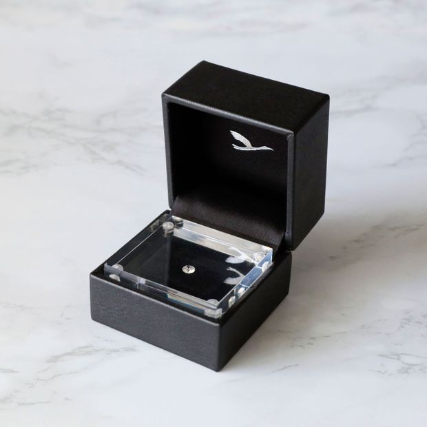 【鶴(mikoto)】ダイヤモンドプロポーズ【当日お持ち帰り可能】