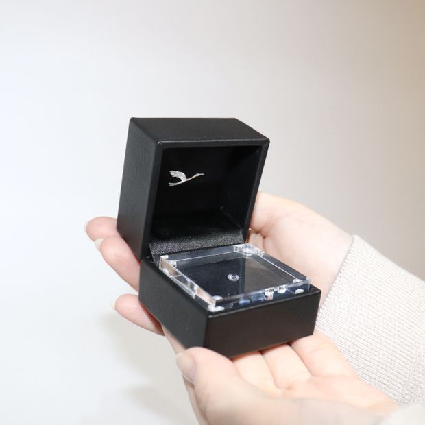 【鶴(mikoto)】ダイヤモンドプロポーズ【当日お持ち帰り可能】