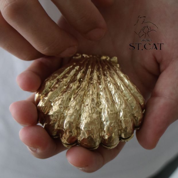 【atelier ST, CAT(アトリエ エスティーキャット)】【プロポーズケース貸出】Shell Case