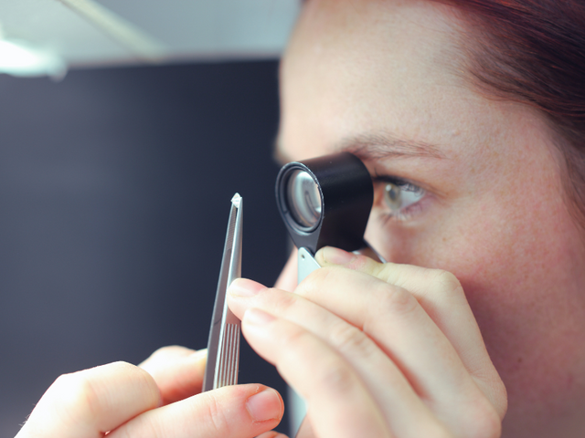 FISCHER(フィッシャー)について