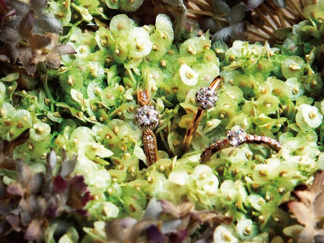 garden(ガーデン)について