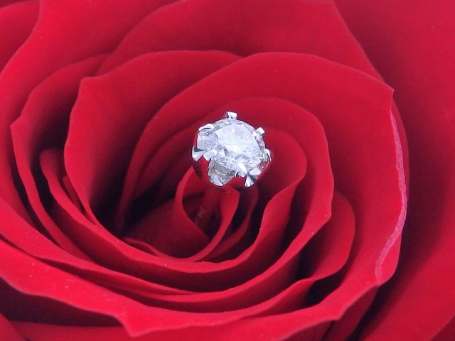 SIND BAD(シンドバット)について