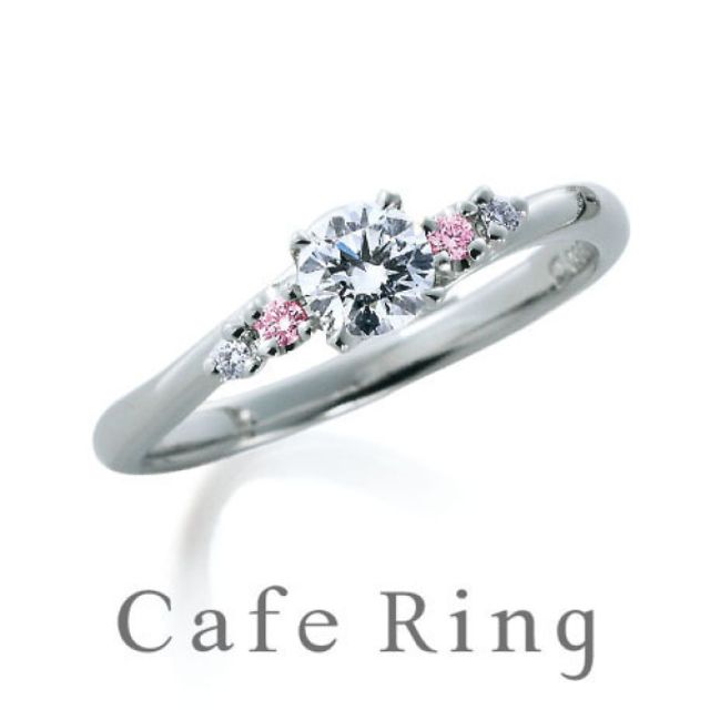 お気に入りを見つけることが出来ました！