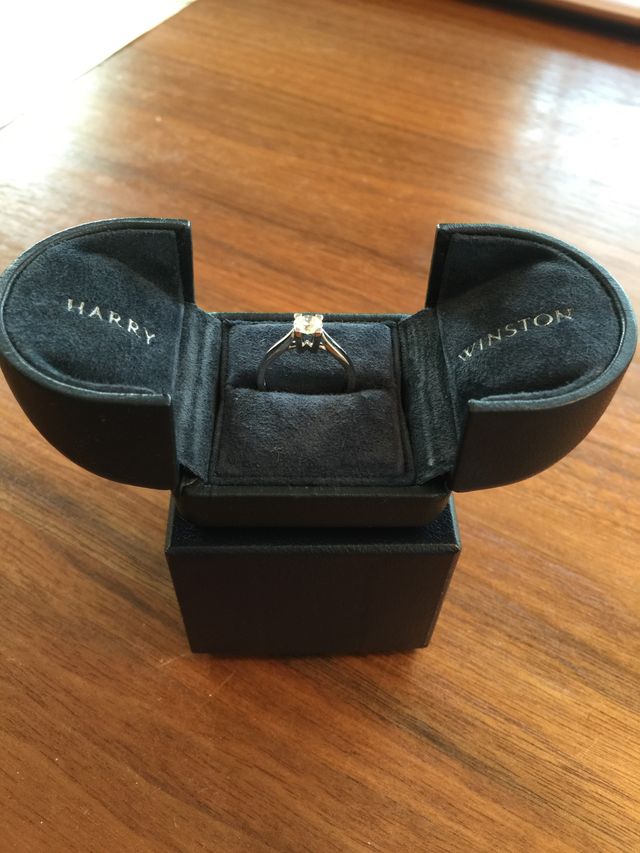 サイドから見た図。Wが見える。