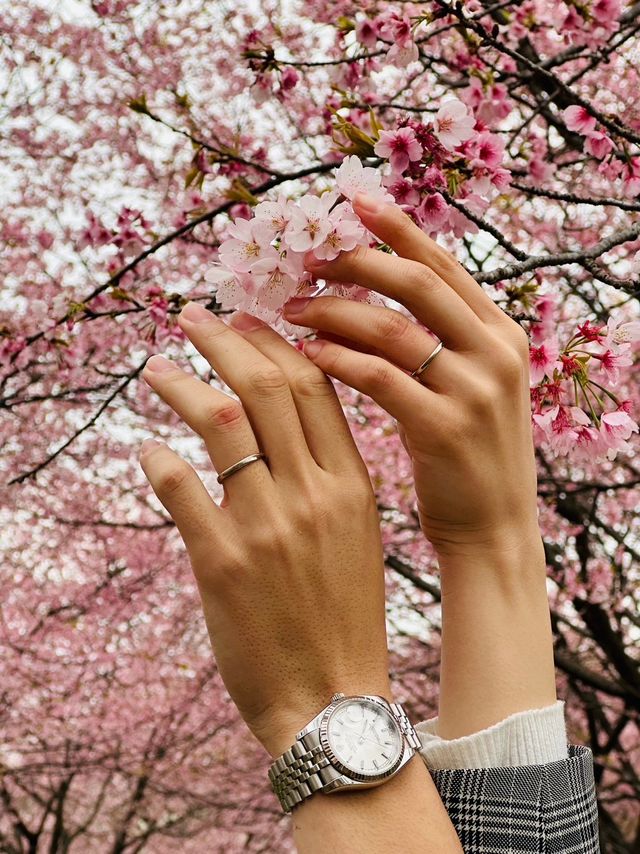 桜の季節だった為作った日にその足で撮りに行きました！