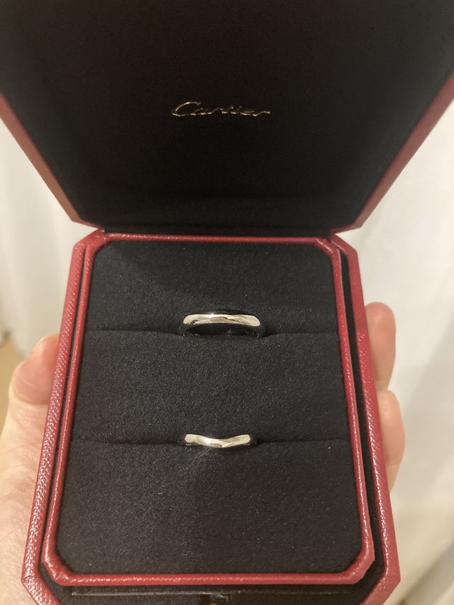 正面から見た様子