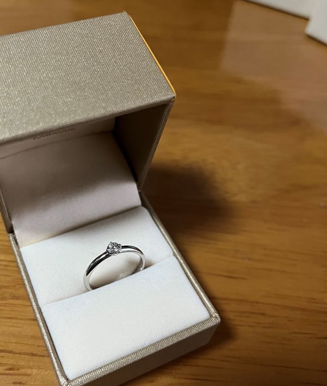 付属の箱に入った状態です。