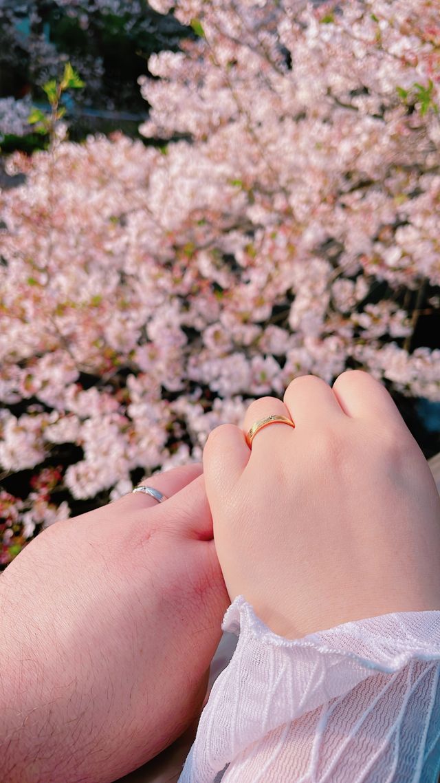 桜と共に撮った写真です。