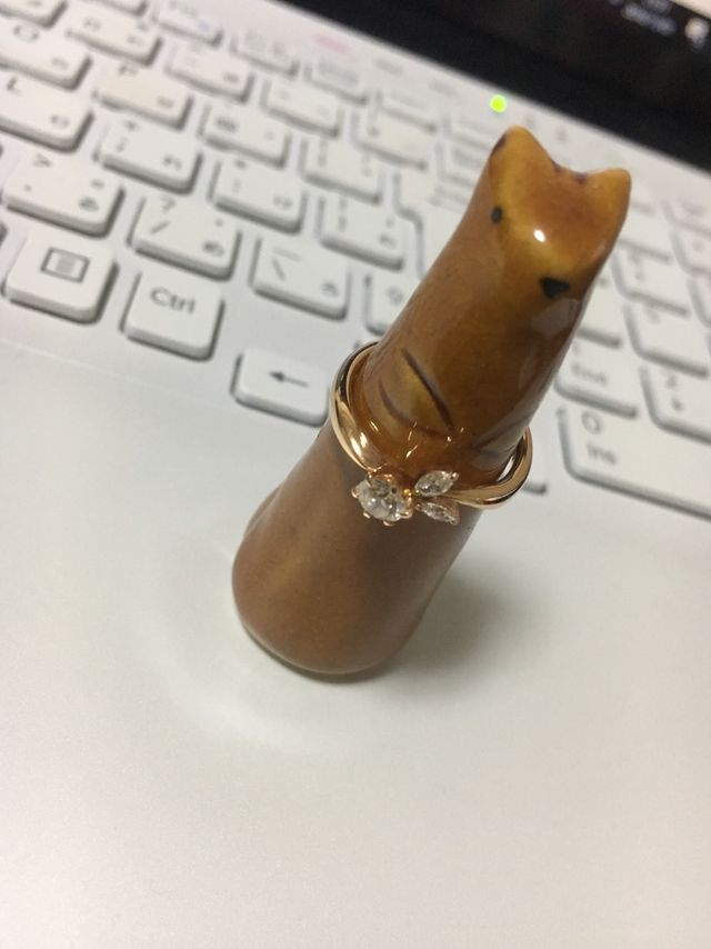 自分に似合う指輪が見つかると思います