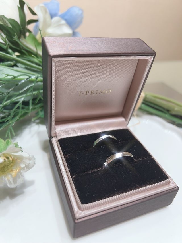 フォルトゥーナです！