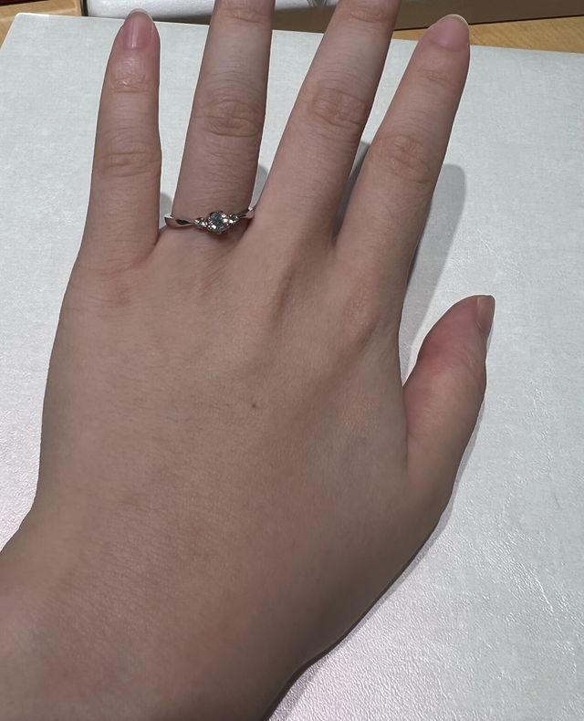 試着してみました。