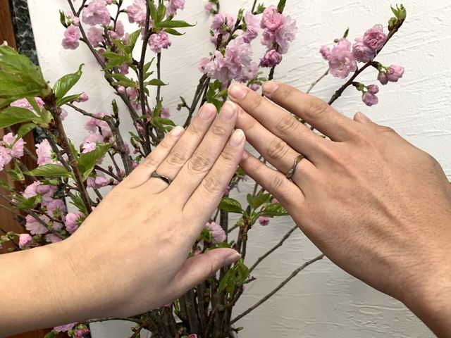 お気に入りです！