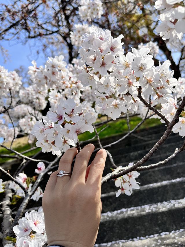 色が少し黒い手なのですが、相性よくつけれました！