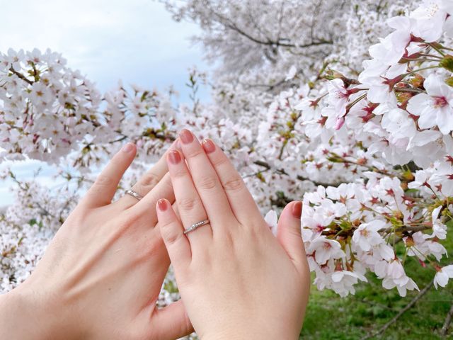 桜と一緒に撮りました