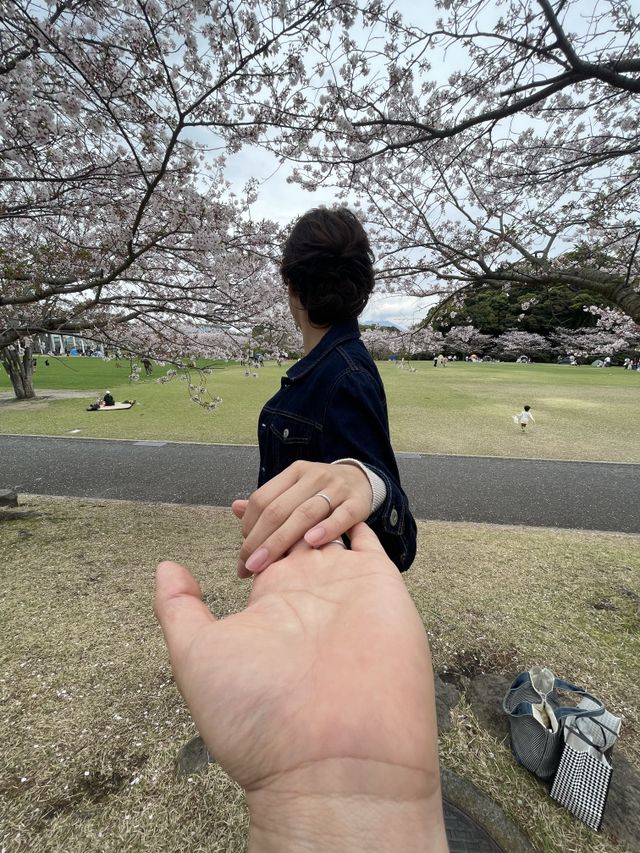 外でもシンプルな存在感