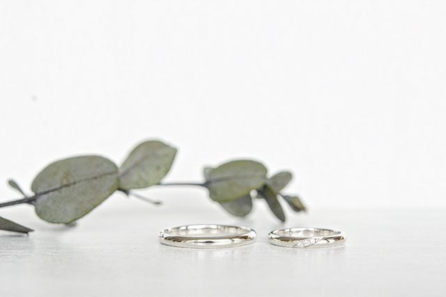 撮影していただいた写真