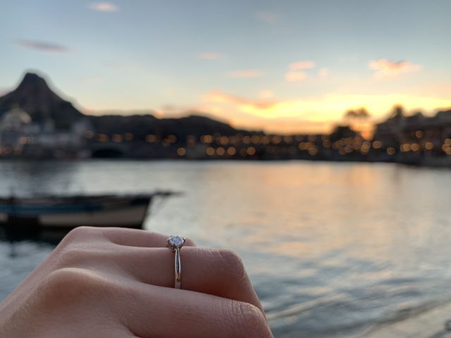 プロポーズで行った夢の国で夕景をバックに撮った写真