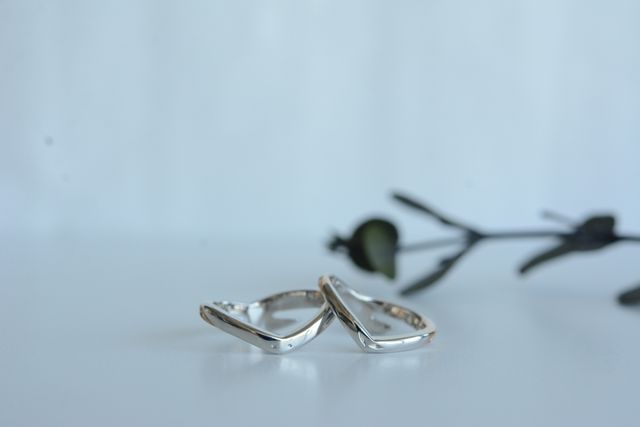 ペットの亀をデザインにしました。