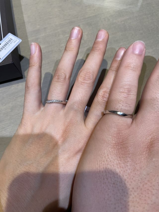 アルチェステを着用しました！