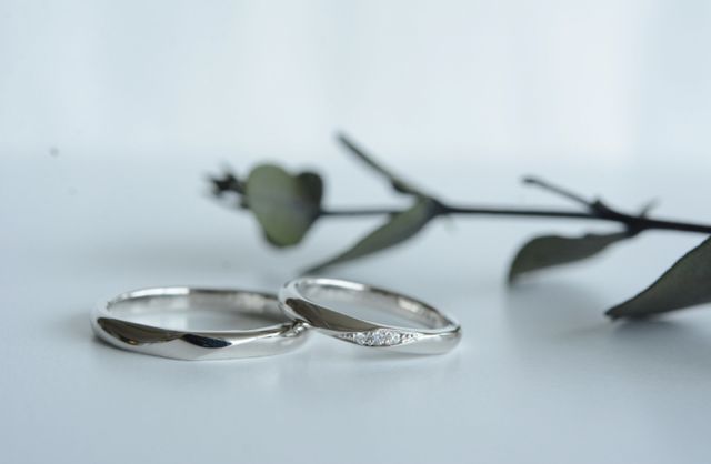 購入後お店からいただいた写真です。