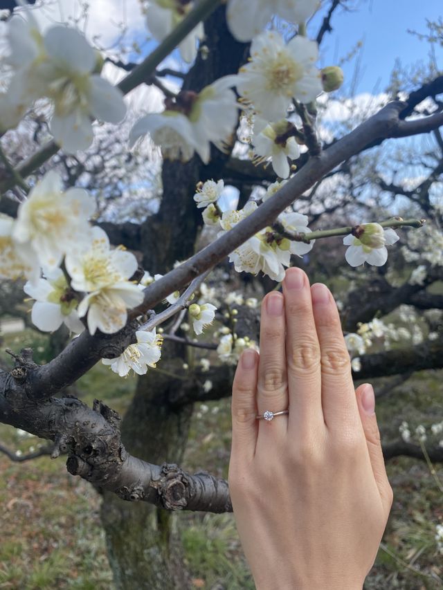 着用して外出した様子