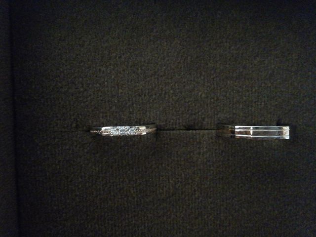 反射して見えにくいですが、それくらい光っています