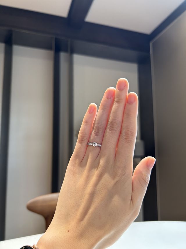 装着写真です。