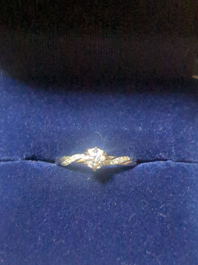 正面からの写真です
