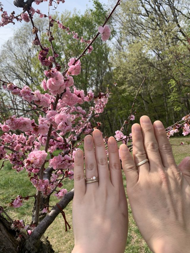 梅の花とともに。