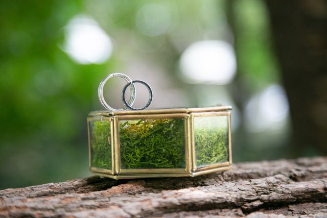 指輪(リングピロー)