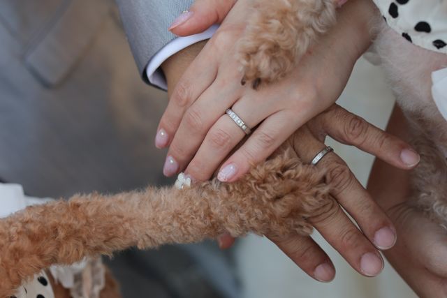 前撮りで愛犬と一緒に❤️家族に協力してもらって撮りました。