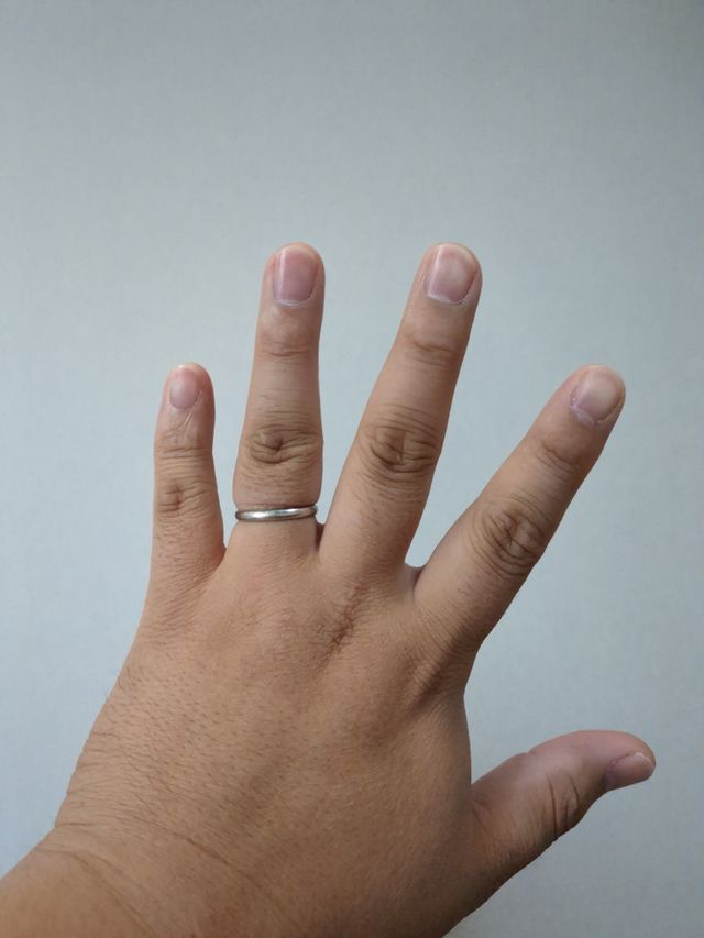 丸みのある曲線の、シンプルで飽きの来ない形になります