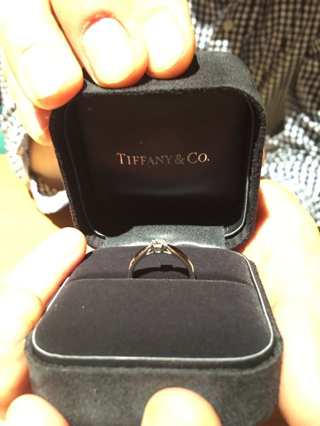 ケースを開くとこのようになります。輝いています！