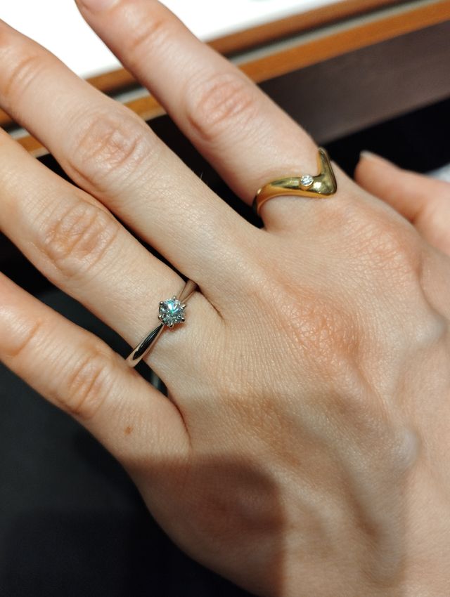 店内で試着したときの写真です。