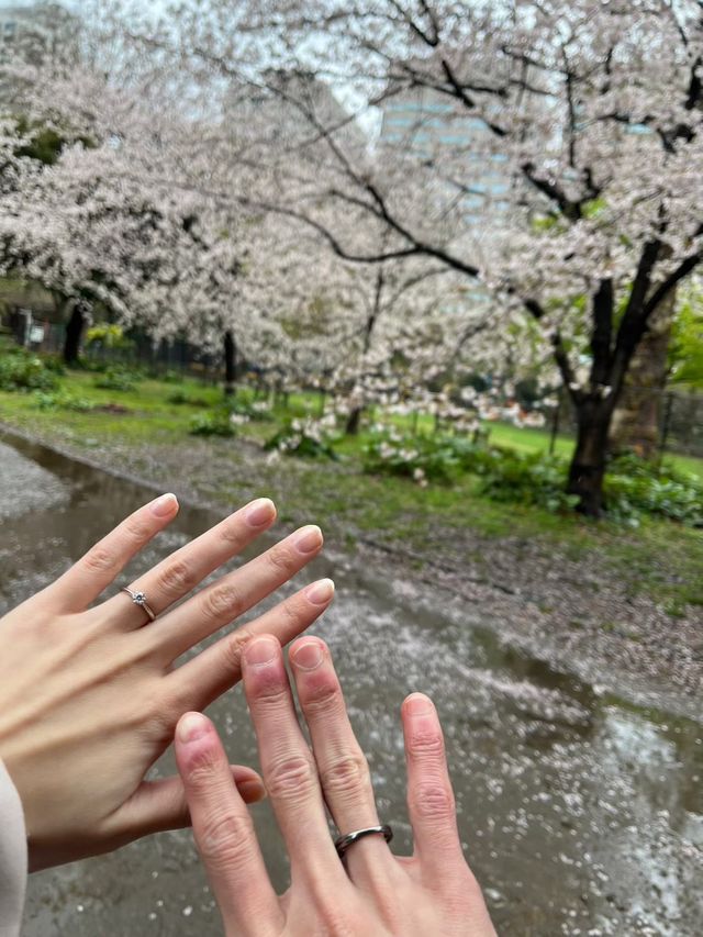 近くの公園で撮りました