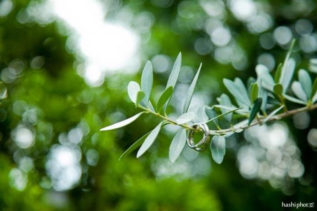 結婚式にてカメラマンさんが撮影