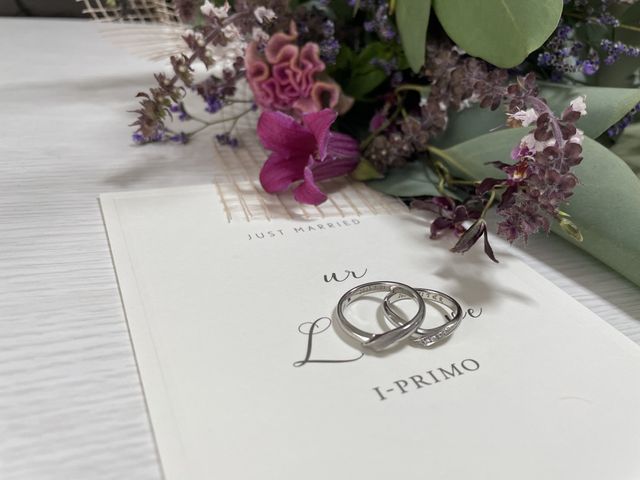 （左）メティスRSS
（右）メティスDR5
V型のペア。