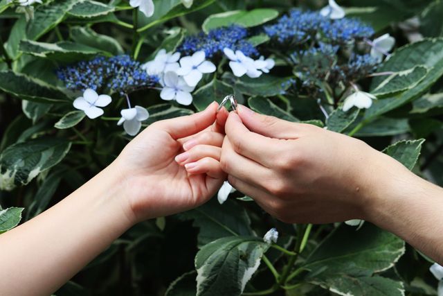 6月納品だったため、紫陽花と一緒に撮影していただきました