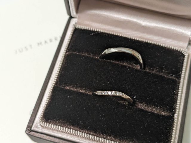 アルチェステ　ブラウンゴールド
ノクターナル