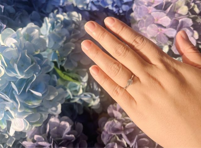 ドマーニソリティアリング