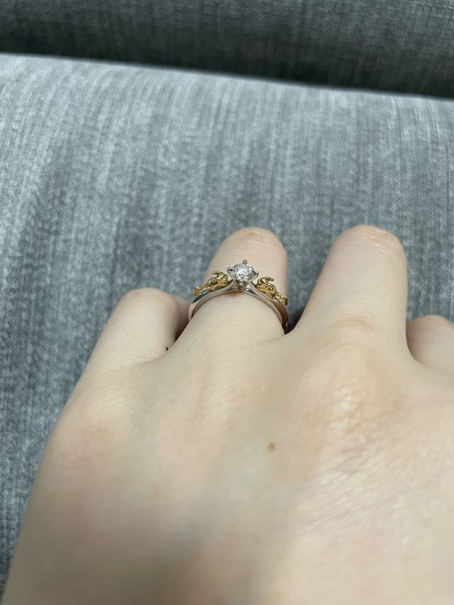 2匹のピカチュウがダイヤの方を見て向かい合っています