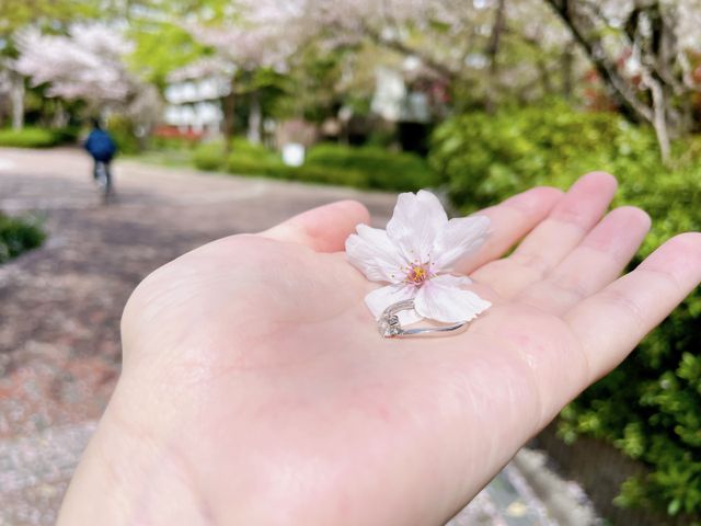 自然光の中でキラキラ光ります