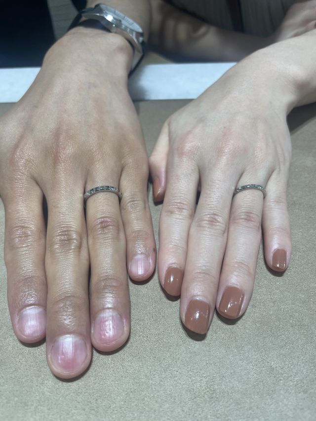 キャトル　クルドパリ