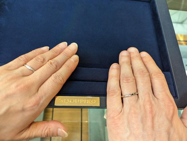 きれいな緩やかなカーブ