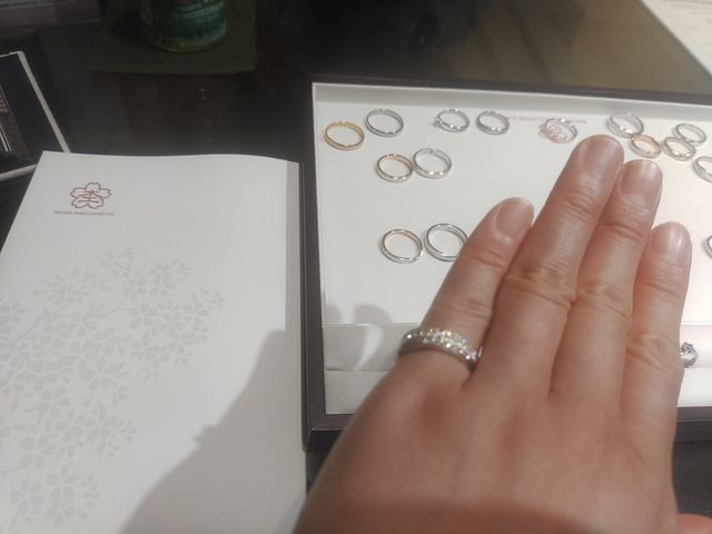 一番気に入ったセットです。